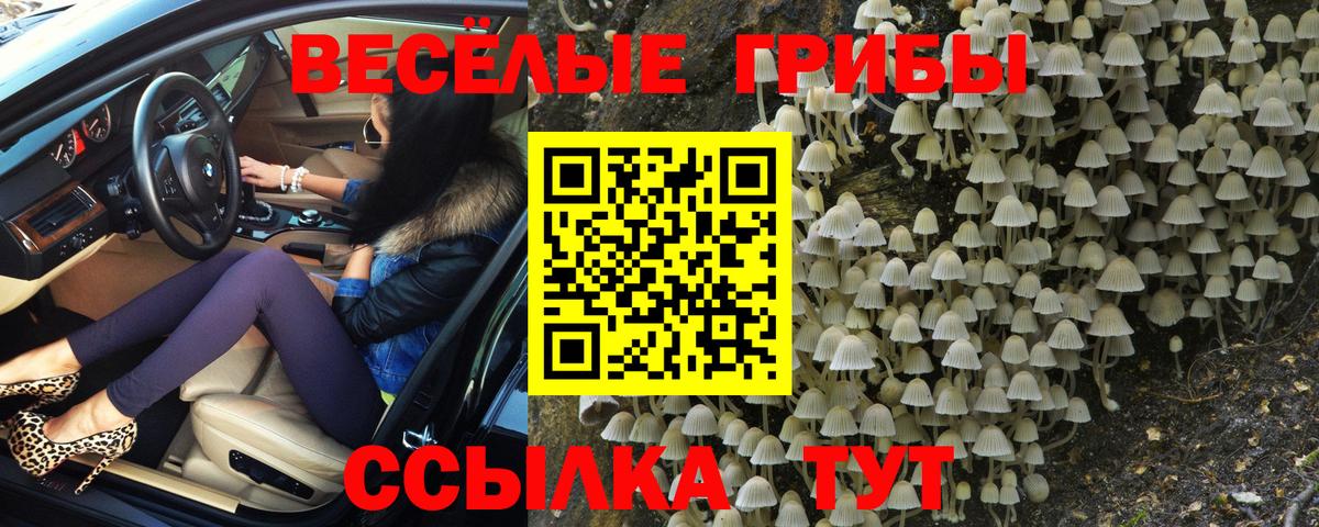Галлюциногенные грибы Psilocybine cubensis  Вход с VPN  Гурьевск  Галлюциногенные грибы Psilocybine cubensis 